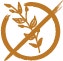 Grain Free Options icon hero