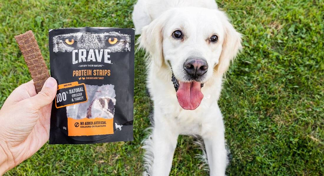 hundefutter both hero